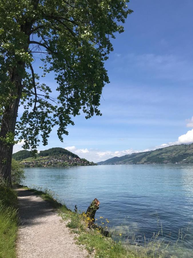 Moderne Unterkunft Mit Panoramablick Auf Thunersee Krattigen Esterno foto