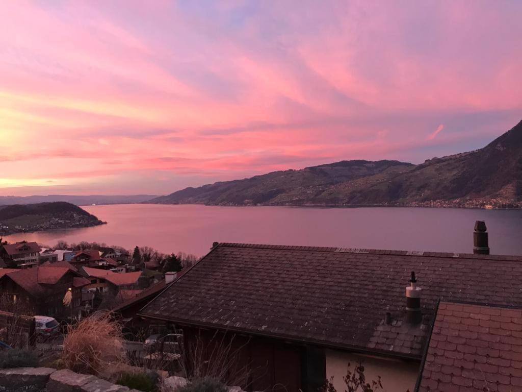 Moderne Unterkunft Mit Panoramablick Auf Thunersee Krattigen Esterno foto